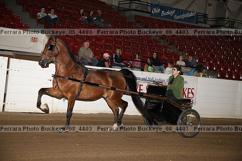 Proof buckeye_08_4403