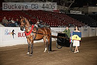 buckeye_08_4405 proof