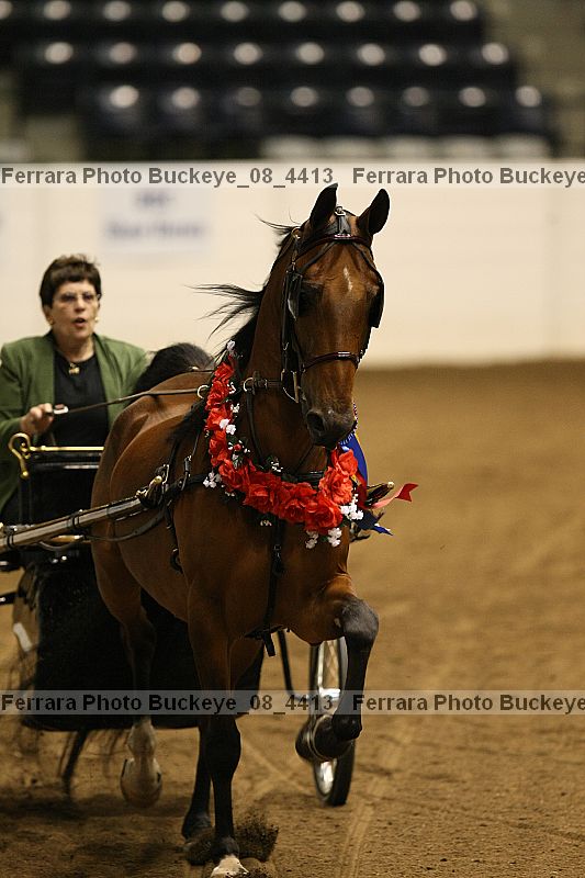 Proof buckeye_08_4413