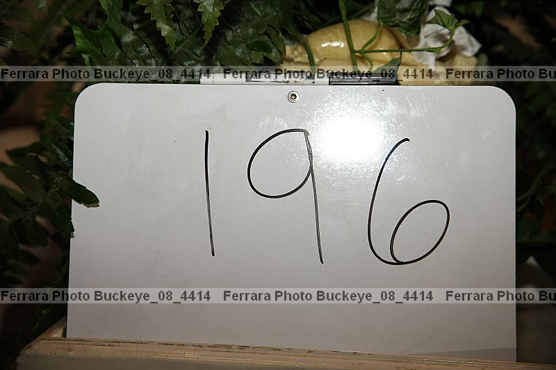 Proof buckeye_08_4414