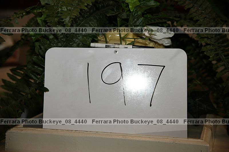 Proof buckeye_08_4440