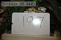 buckeye_08_4440 proof