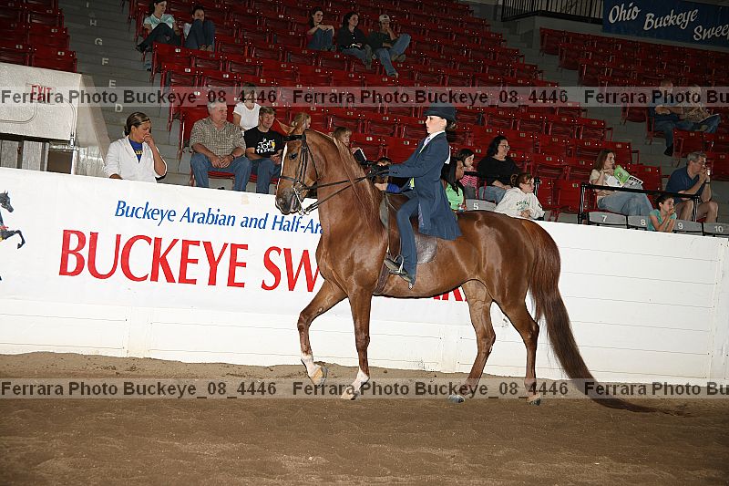 Proof buckeye_08_4446