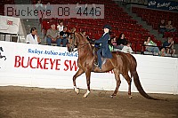 buckeye_08_4446 proof