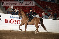 buckeye_08_4451 proof