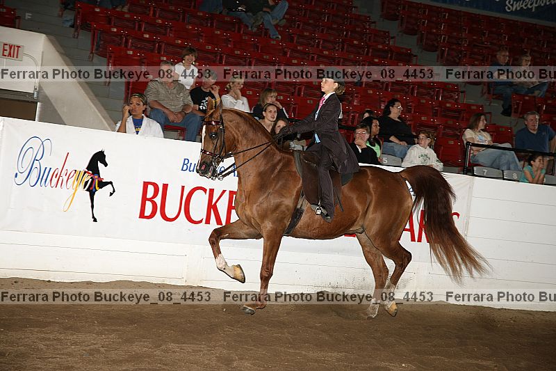 Proof buckeye_08_4453