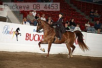 buckeye_08_4453 proof