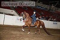 buckeye_08_4454 proof
