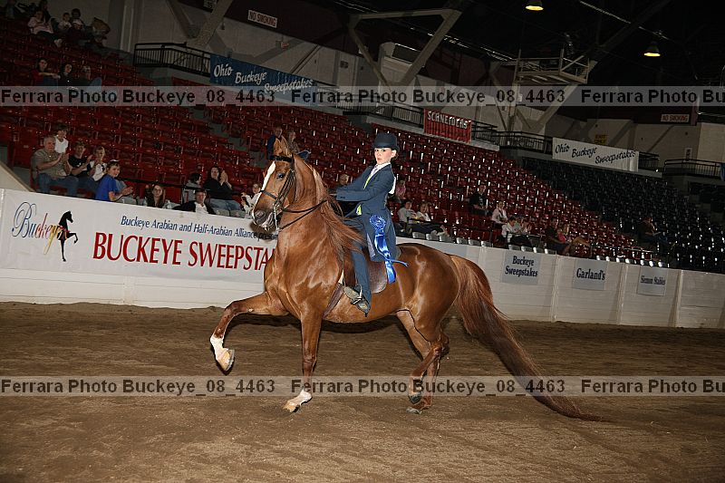 Proof buckeye_08_4463