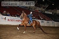 buckeye_08_4463 proof