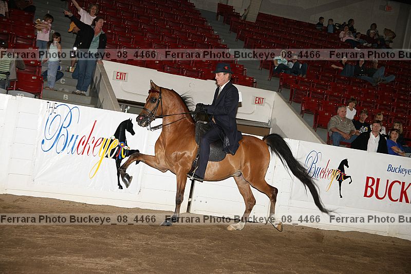 Proof buckeye_08_4466