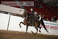 buckeye_08_4467 proof
