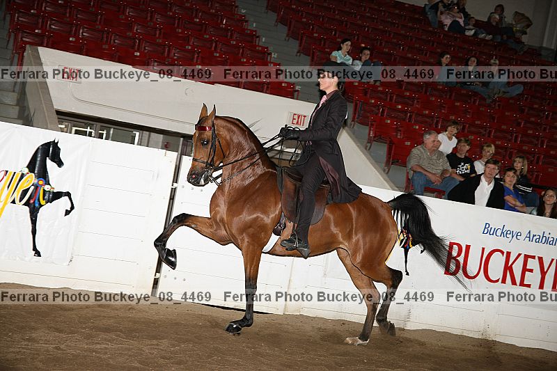 Proof buckeye_08_4469