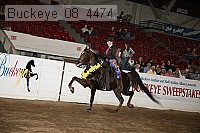 buckeye_08_4474 proof
