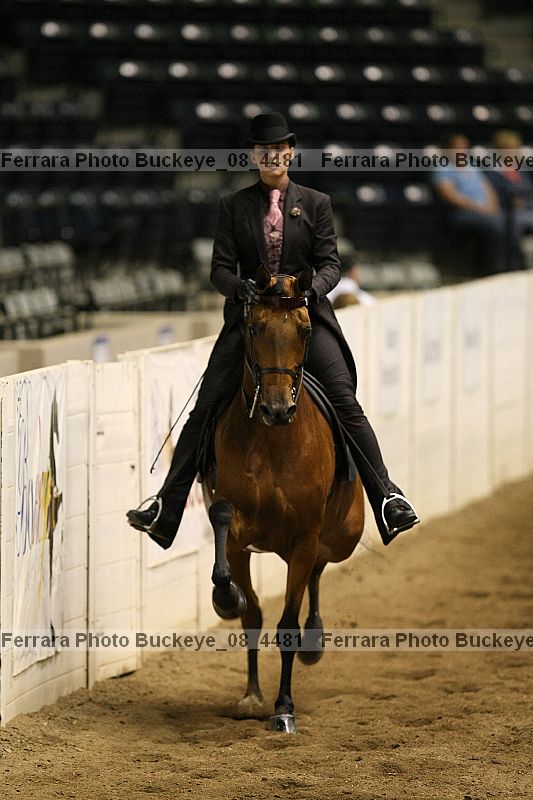 Proof buckeye_08_4481