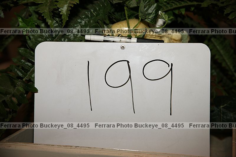 Proof buckeye_08_4495