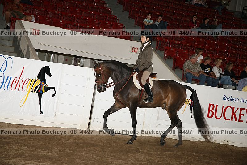 Proof buckeye_08_4497