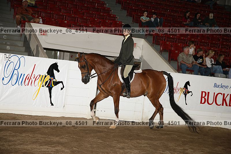 Proof buckeye_08_4501