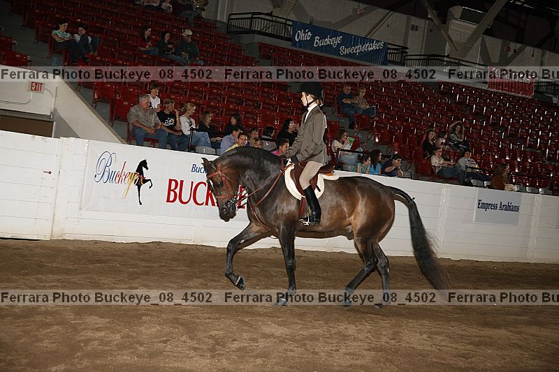 Proof buckeye_08_4502