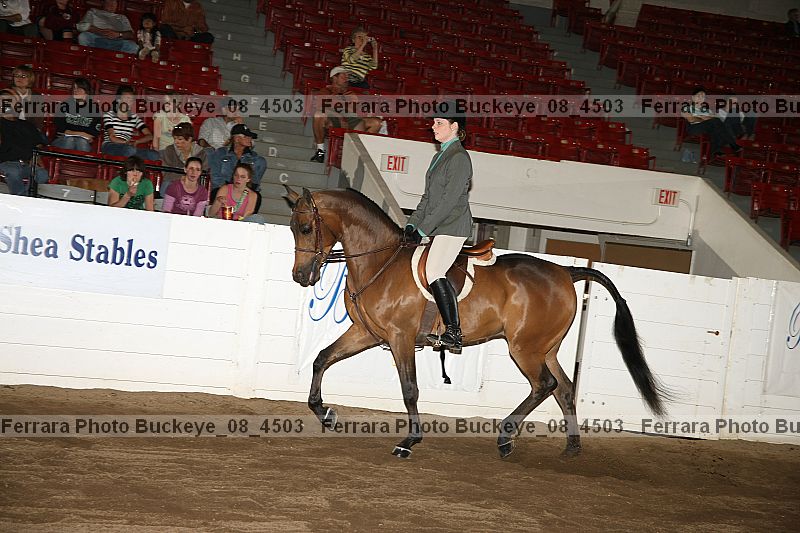 Proof buckeye_08_4503