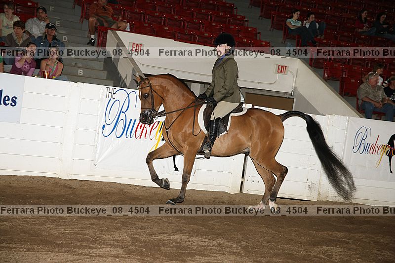 Proof buckeye_08_4504
