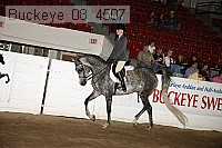 buckeye_08_4507 proof