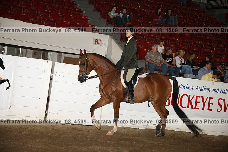 Proof buckeye_08_4509