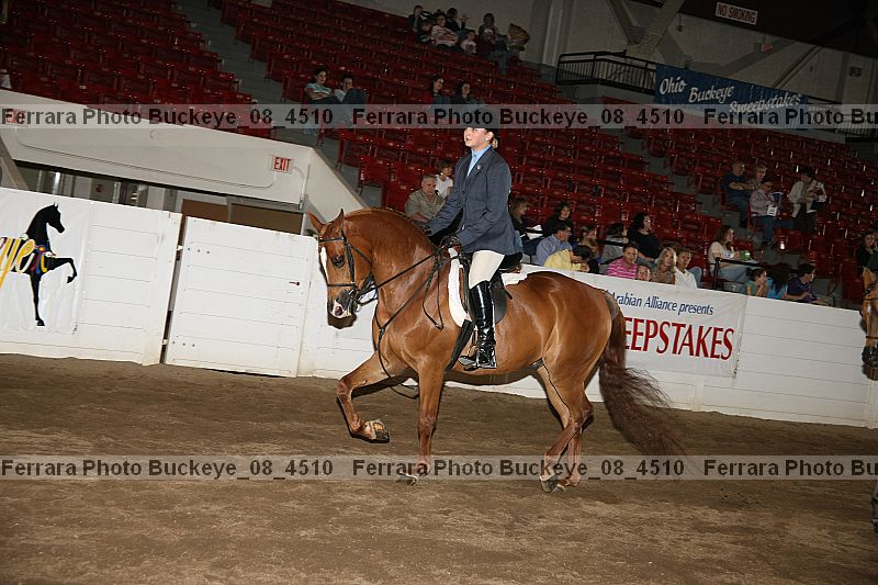 Proof buckeye_08_4510