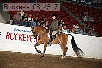 buckeye_08_4517 proof