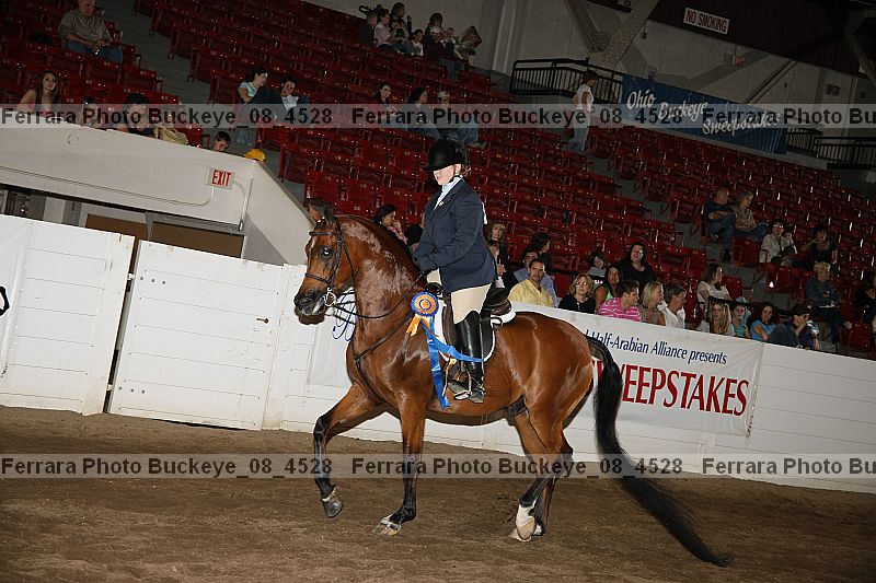 Proof buckeye_08_4528