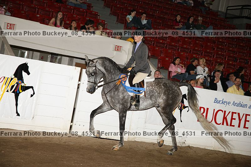 Proof buckeye_08_4531