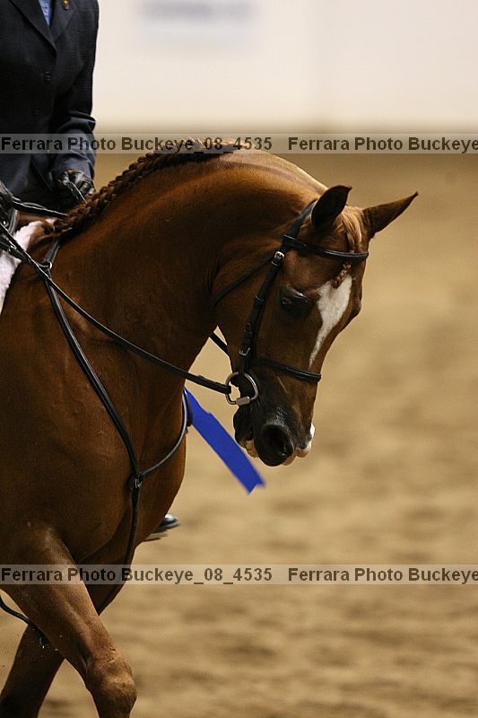 Proof buckeye_08_4535