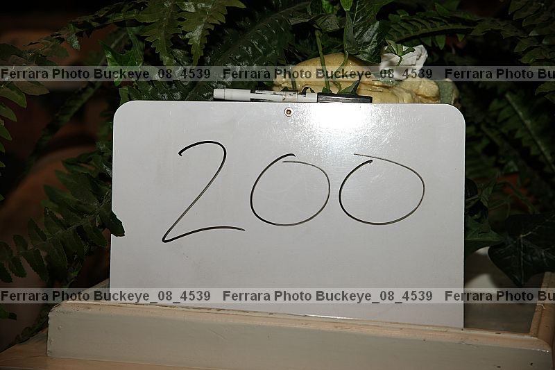 Proof buckeye_08_4539