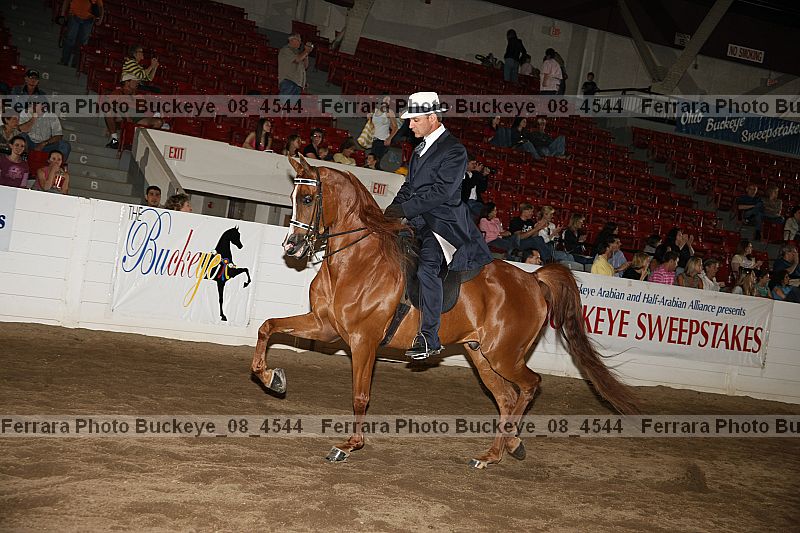 Proof buckeye_08_4544