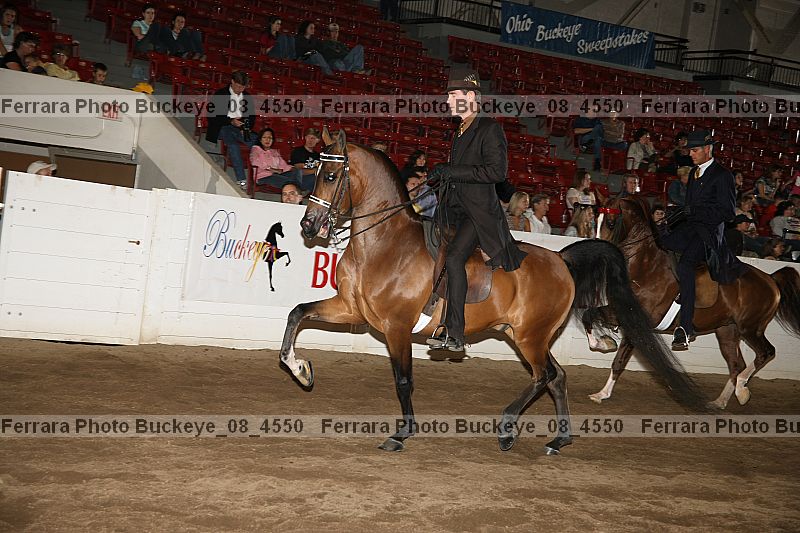 Proof buckeye_08_4550