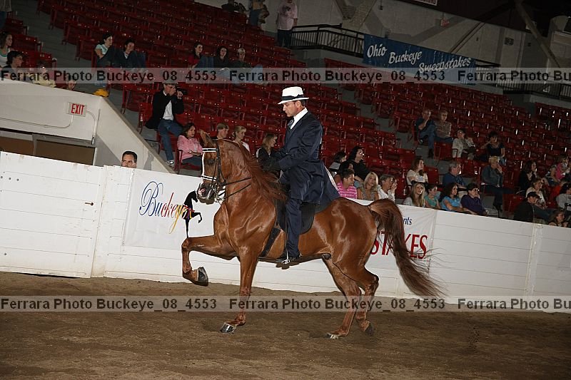 Proof buckeye_08_4553