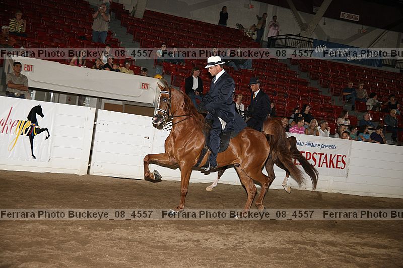 Proof buckeye_08_4557