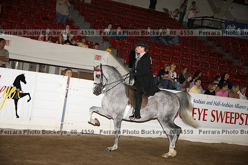 Proof buckeye_08_4559