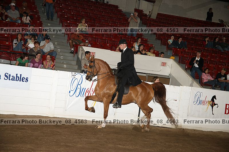 Proof buckeye_08_4563
