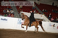 buckeye_08_4563 proof