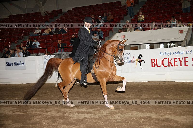 Proof buckeye_08_4566
