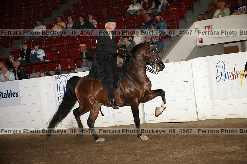 Proof buckeye_08_4567