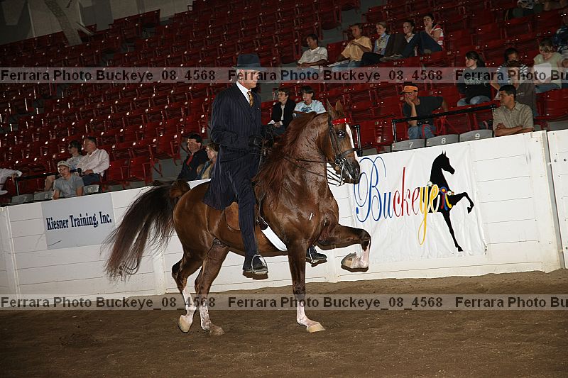 Proof buckeye_08_4568