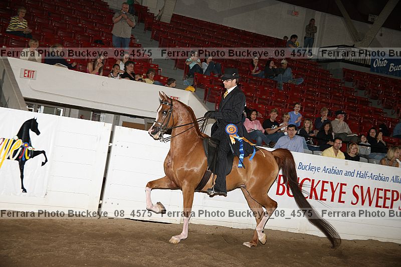Proof buckeye_08_4575