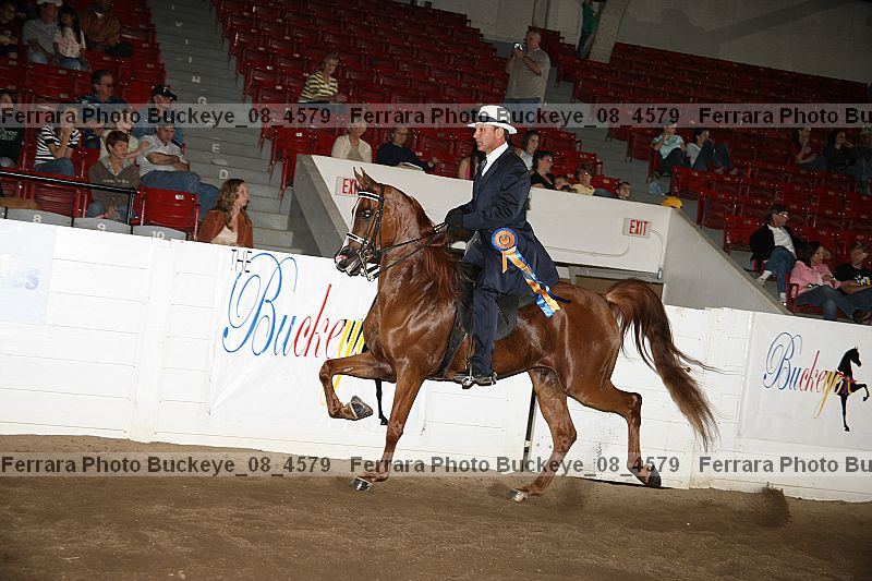Proof buckeye_08_4579