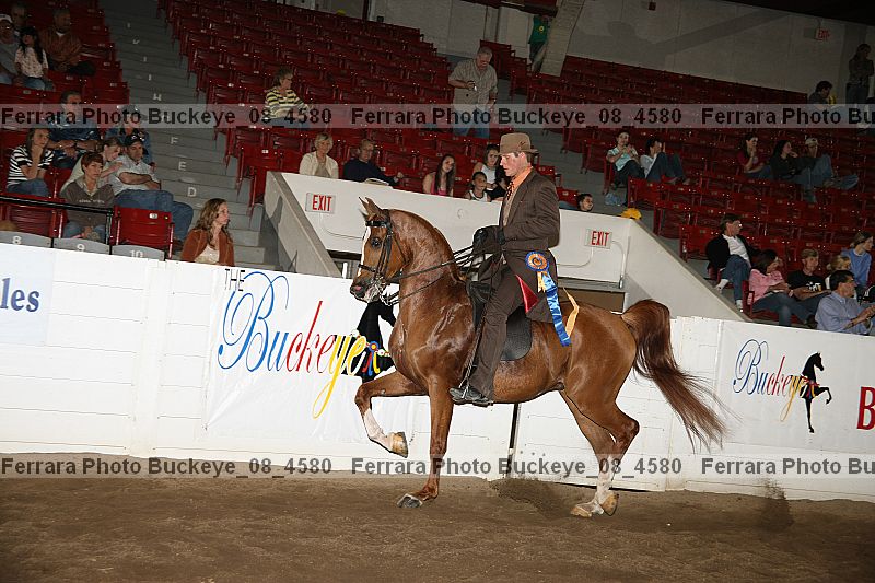 Proof buckeye_08_4580