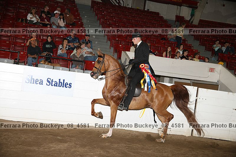 Proof buckeye_08_4581