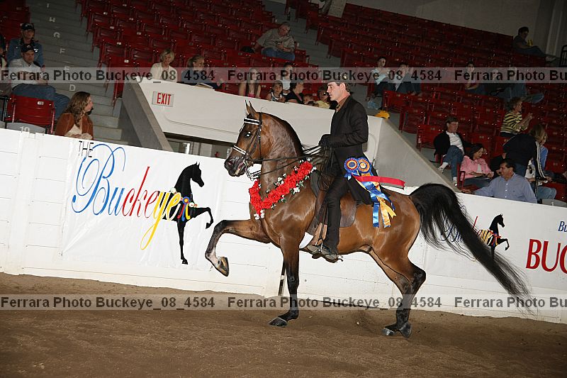 Proof buckeye_08_4584