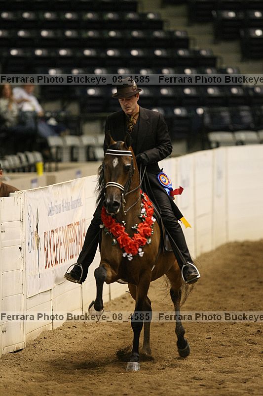 Proof buckeye_08_4585