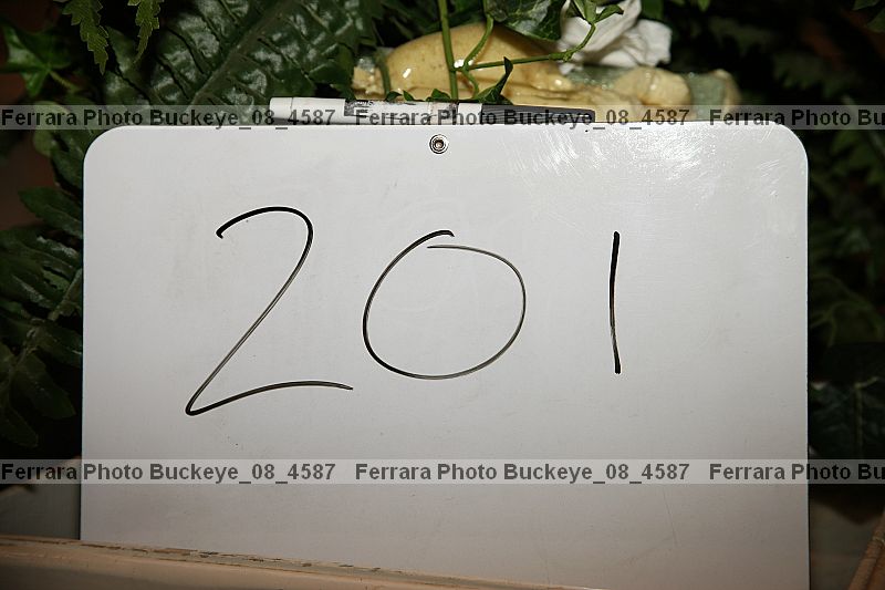 Proof buckeye_08_4587